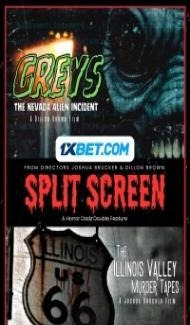 Split Screen (2024) Hindi Dubbed poster
