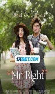 Mr Right (2024) Hindi Dubbed poster