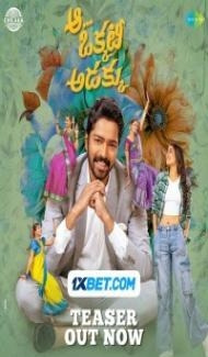 Aa Okkati Adakku (2024) South Indian Hindi Dubbed Movie poster