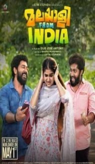 Malayalee from India (2024) South Indian Hindi Dubbed Movie poster