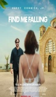 Find Me Falling (2024) Hindi Dubbed poster