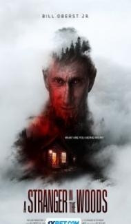 A Stranger in the Woods (2024) Hindi Dubbed poster