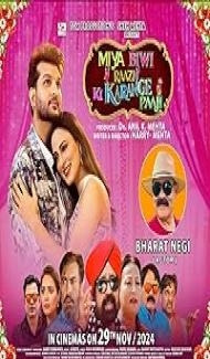 Miya Biwi Raazi Ki Karange Paaji (2024) poster