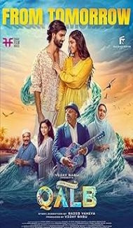 Qalb (2024) Hindi Dubbed Movie poster