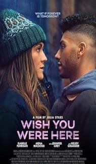 Wish You Were Here (2025) Hindi Dubbed Movie poster