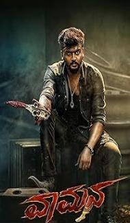 Vaamana (2025) Hindi Dubbed Movie poster