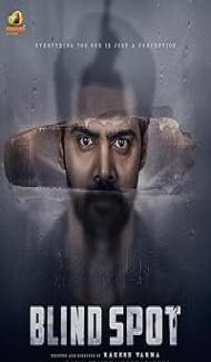 Blind Spot (2025) Hindi Dubbed Movie poster