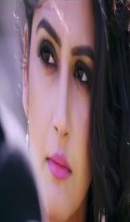 Shamshir Power (2018) South Indian Hindi Dubbed Movie poster