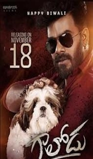 Gaalodu (2022) Hindi Dubbed Movie poster