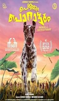 Pennum Porattum (2026) Hindi Dubbed Movie poster