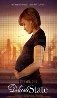 Delicate State (2021) Hindi Dubbed poster