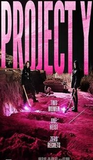 Project Y (2025) Hindi Dubbed Movie poster