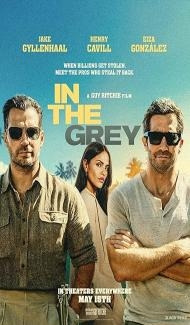 In the Grey (2026) Hindi Dubbed Movie poster