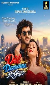 Dil Deewana Ho Gaya (2026) Hindi Movie poster
