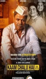 Kaam Chalu Hai (2024) Hindi Movie poster