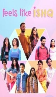 Feels Like Ishq (2021) Web Series poster