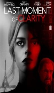 Last Moment of Clarity (2020) Hindi Dubbed poster