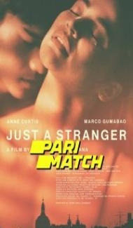 Just a Stranger (2019) Hindi Dubbed poster
