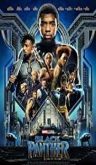 Black Panther (2018) Dual Audio Hindi Dubbed poster