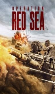 Operation Red Sea (2018) Hindi Dubbed poster