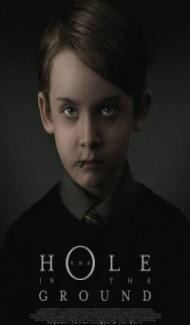 The Hole in the Ground (2019) English Movie poster