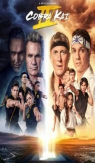 Cobra Kai (2021) Season 4 Web Series poster