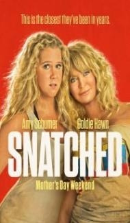 Snatched (2017) Dual Audio Hindi Dubbed poster