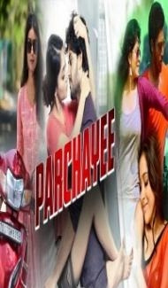 Parchayee (2020) South Indian Hindi Dubbed Movie poster