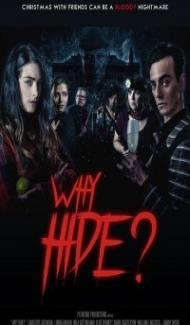 Why Hide (2018) Hindi Dubbed poster