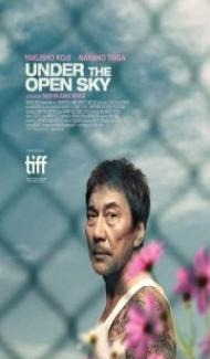 Under the Open Sky (2020) Hindi Dubbed poster