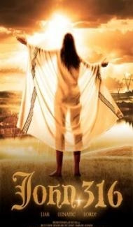 John 316 (2020) Hindi Dubbed poster