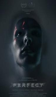Perfect (2019) English Movie poster