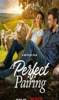 A Perfect Pairing (2022) Hindi Dubbed poster