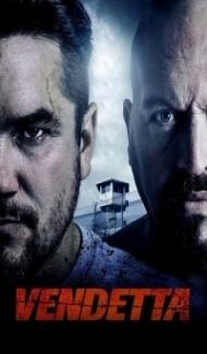 Vendetta (2015) Hindi Dubbed poster