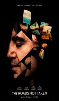 The Roads Not Taken (2020) Hindi Dubbed poster