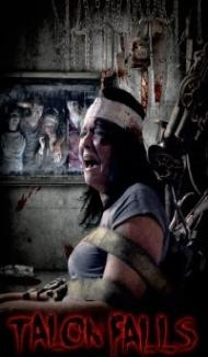 Talon Falls (2017) Hindi Dubbed poster