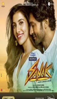 Sanak (2021) Hindi Movie poster
