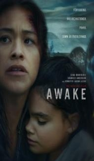 Awake (2021) Hindi Dubbed poster