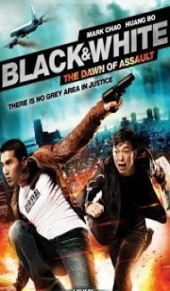 Black And White Dawn of Assault (2012) Hindi Dubbed poster